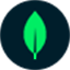 Mongodb Atlas